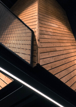 Wooden cladding in TrainMore Hoog Catharijne in Utrecht. Designed by JPS architecten & Ivo Jelinek, IJarchitecture. 